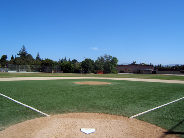 Fix lawn problems at the school with synthetic turf