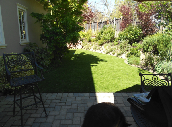 Green backyard lawn after Heavenly Greens installation