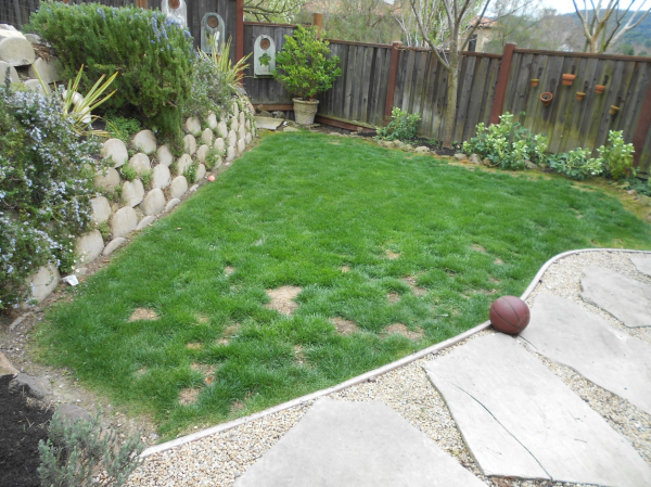 Heavenly Greens, artifical turf, before, after