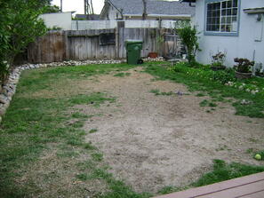 Real grass dead spots with dogs