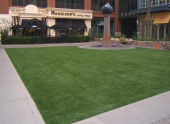 How Artificial Turf Can Help Your Business