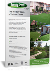 Hidden cost of natural grass