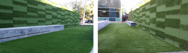 A Complete Backyard Remodel and a Turf Lover's Dream