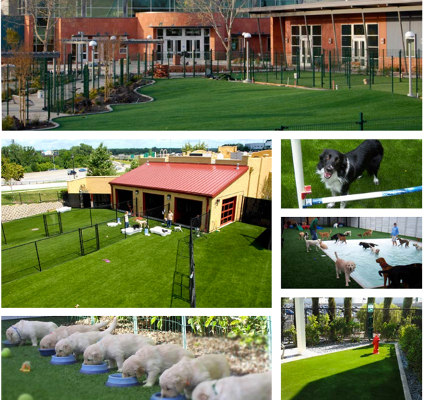 Heavenly Greens is Your Source for Commercial Artificial Turf