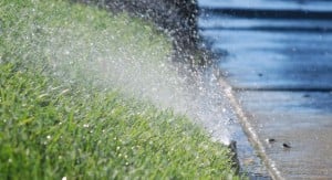 sprinkler watering natura grass which is not eco-friendly like artificial grass