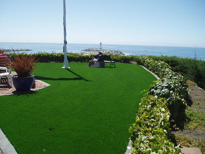 Artificial Grass in California