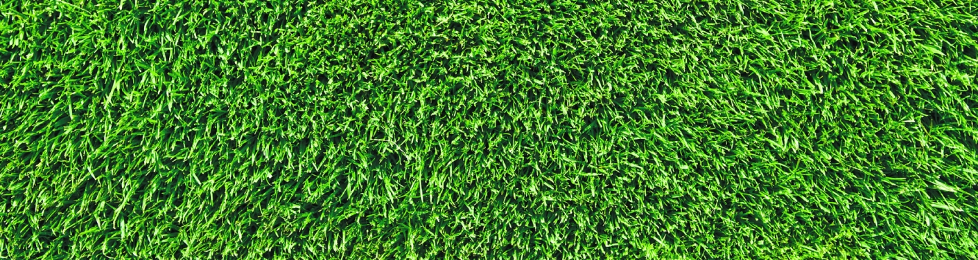 top view of artificial turf