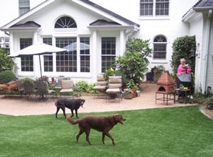 Care for Family & Pets with Allergies – Switch to a Synthetic Lawn