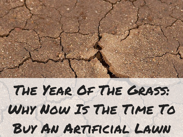 The year of the grass: why now is the time to buy an artificial lawn http://blog.heavenlygreens.com/blog/bid/203569/The-Year-Of-The-Grass-Why-Now-Is-The-Time-To-Buy-An-Artificial-Lawn @heavenlygreens