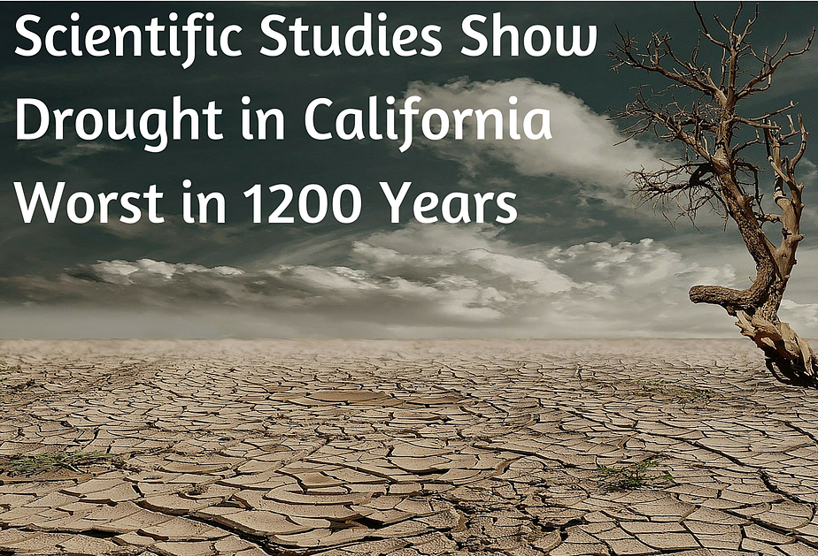 Scientific Studies Show Drought in California Worst in 1200 Years