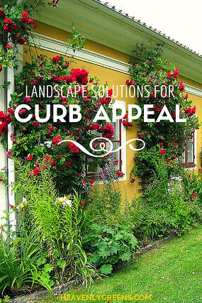 Landscape Solutions: How to increase curb appeal http://www.heavenlygreens.com/blog/landscape-solutions-how-to-increase-curb-appeal @heavenlygreens