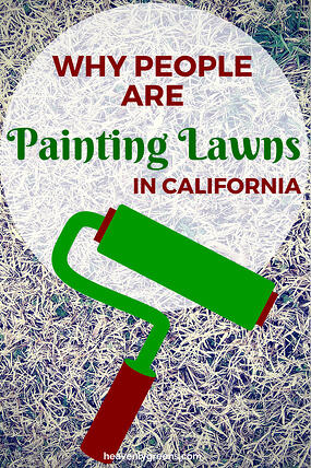 Why people are painting Yes, painting their lawns in California http://www.heavenlygreens.com/blog/painting-your-lawn-in-california @heavenlygreens