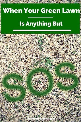 When a green lawn is anything but http://www.heavenlygreens.com/blog/green-lawns-replaced-by-artificial-tur-and-paint @heavenlygreens