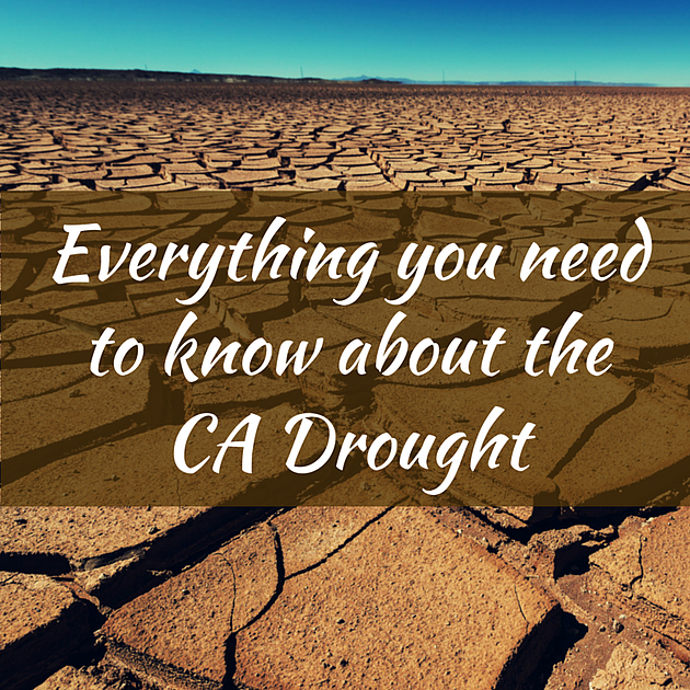 INFOGRAPHIC: Everything You Need To Know About The CA Drought