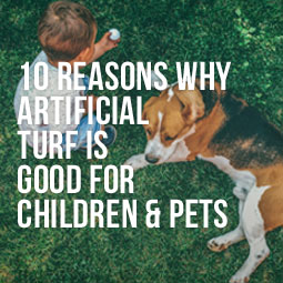 10 Reasons Why Artificial Turf Is Good For Children And Pets http://www.heavenlygreens.com/blog/10-reasons-artificial-turf-is-good-children-pets @heavenlygreens