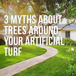 Myths About Trees Around Your Artificial Turf