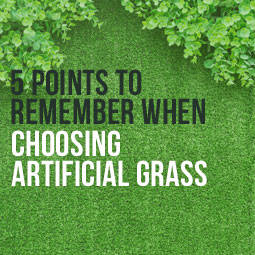 5 Points To Remember When Choosing Artificial Grass http://www.heavenlygreens.com/blog/5-points-to-remember-when-choosing-artificial-grass @heavenlygreens