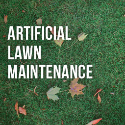 Artificial Lawn Maintenance