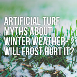 Artificial Turf Myths About Winter Weather - Will Frost Hurt It?
