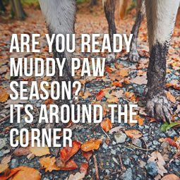 Are You Ready for Muddy Paws Season? It's Around The Corner