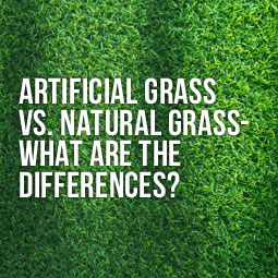 Artificial Grass vs. Natural Grass - What Are the Differences?