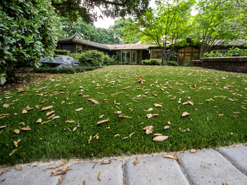 Replacing A Dying Lawn In Atherton, California