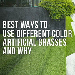 Best Ways To Use Different Colored Artificial Grasses And Why