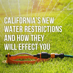 California's New Water Restriction and How They Will Effect you