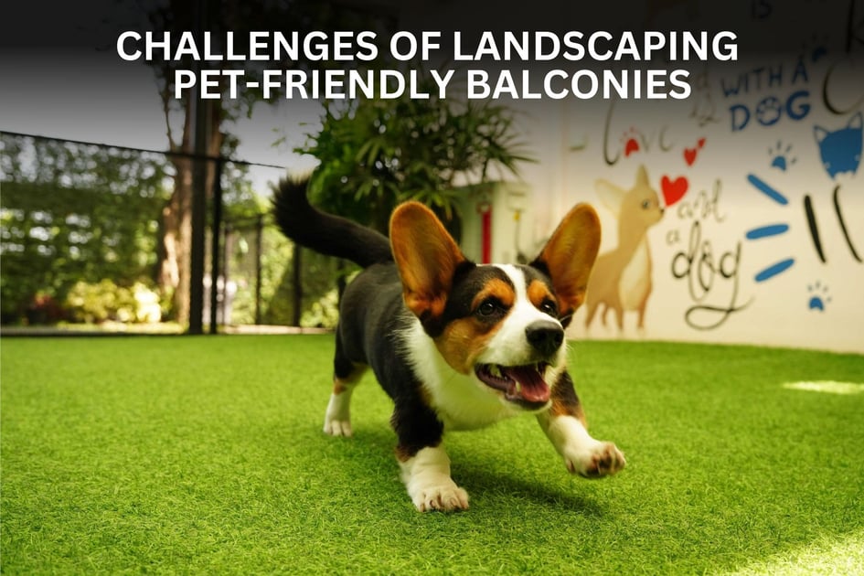 Pets in Apartments: Artificial Grass in San Jose for Dogs and Balconies