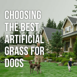 Choosing The Best Artificial Grass For Dogs