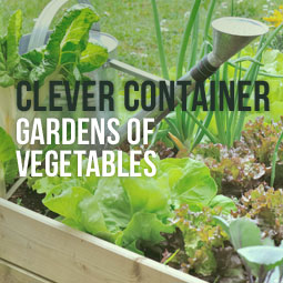 Clever Container Gardens Of Vegetables http://www.heavenlygreens.com/blog/clever-container-gardens-of-vegetables @heavenlygreens