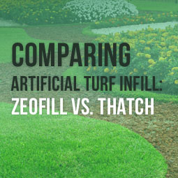 Comparing Artificial Turf Infill: Zeofill vs Thatch http://www.heavenlygreens.com/blog/comparing-artificial-turf-infill-zeofill-vs-thatch @heavenlygreens