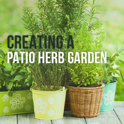 Creating A Patio Herb Garden http://www.heavenlygreens.com/blog/creating-patio-herb-garden @heavenlygreens