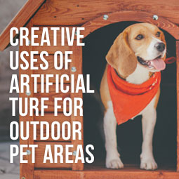 Creative Uses Of Artificial Turf For Outdoor Pet Areas