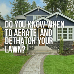Do You Know When To Aerate and Dethatch Your Lawn?