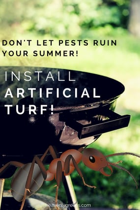 Don't Let Pests Ruin Your Summer - Install Artificial Turf http://www.heavenlygreens.com/blog/dont-let-pests-ruin-your-summer-install-artificial-turf @heavenlygreens