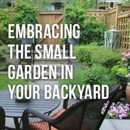 Embracing The Small Garden In Your Backyard