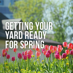 Getting Your Yard Ready for Spring