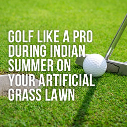 closeup of playing golf on artificial grass lawn 