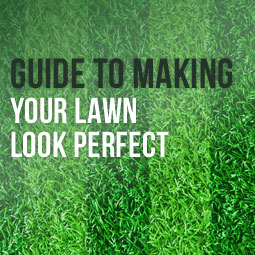 Guide To Making Your Lawn Look Perfect