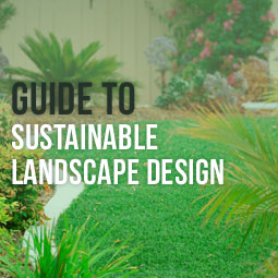 Guide To A Sustainable Landscape Design
