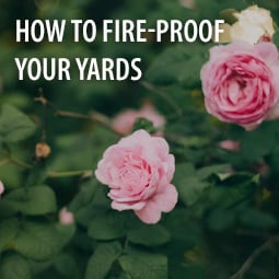 How to Fire-Proof Your Yards