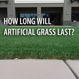 How Long Will Artificial Grass Last?