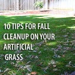 10 Tips For Fall Cleanup on Your Artificial Grass