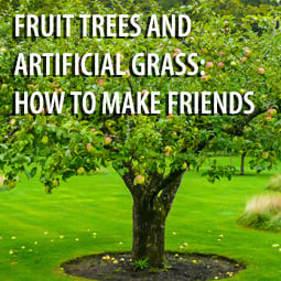 Fruit Trees and Artificial Grass: How to Make Friends