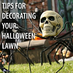 Tips for Decorating Your Halloween Lawn