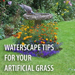Waterscape Tips for Your Artificial Grass
