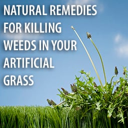 Natural Remedies for Killing Weeds in Your Artificial Grass