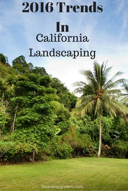 2016 Trends In California Landscaping http://www.heavenlygreens.com/blog/2016-trends-in-california-landscaping @heavenlygreens