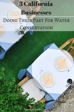 3 California Businesses Doing Their Part For Water Conservation http://www.heavenlygreens.com/blog/3-california-businesses-doing-their-part-for-water-conservation @heavenlygreens
